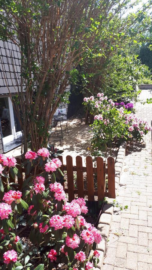 Ferienwohnung 43qm Torf 10 nähe Möhnesee Warstein Exterior foto